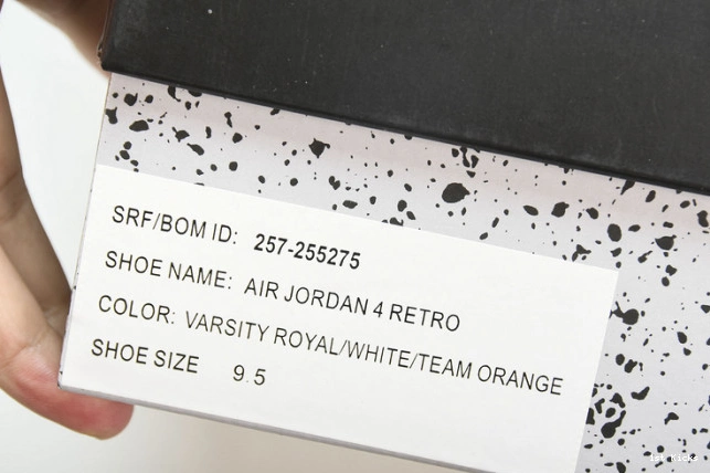 Duckman Ducks Retro Jordan 4 257-255275 Oregon 0724